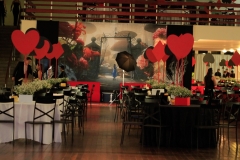 5-BAILE_DJ_1317